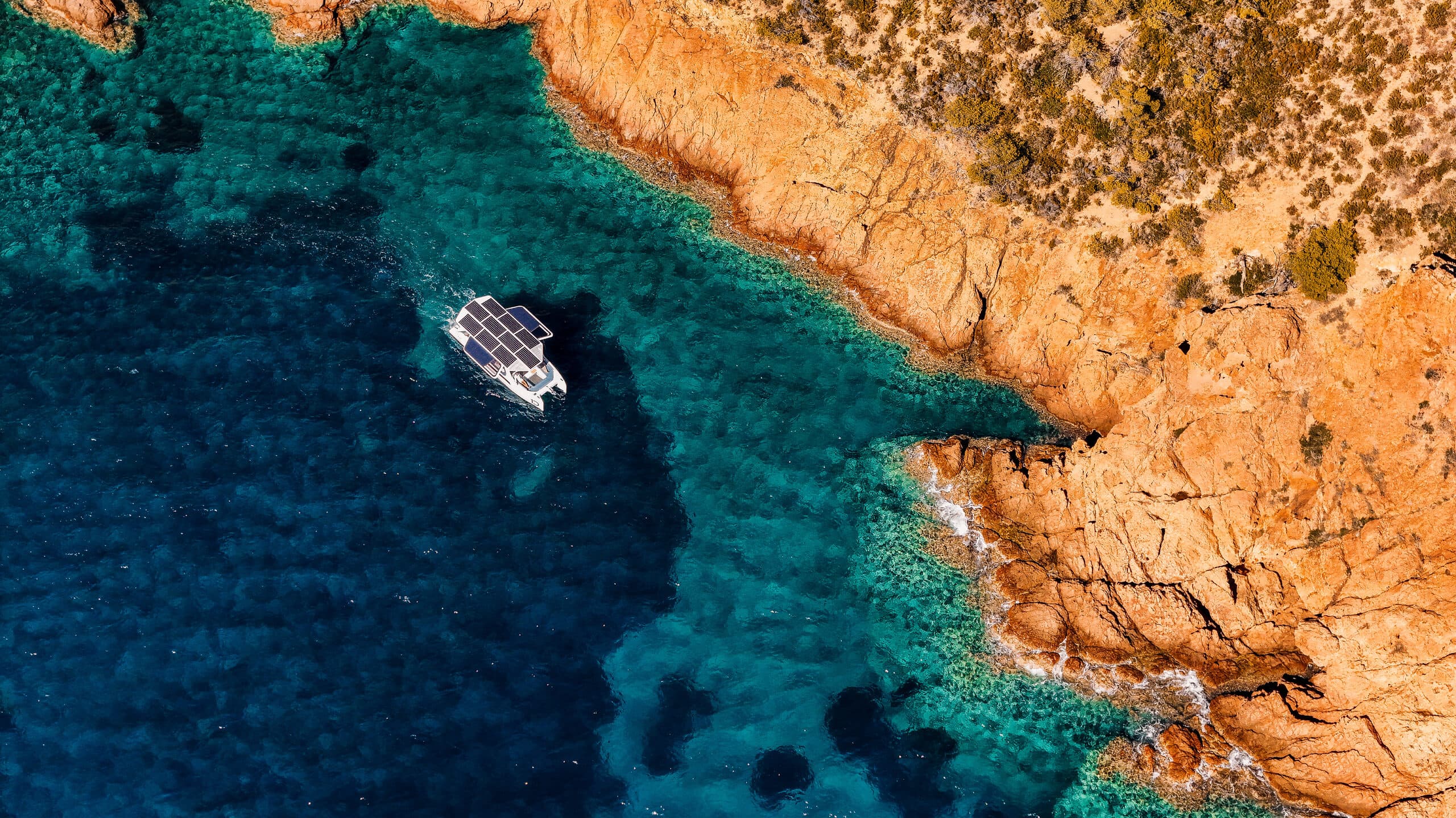 Millikan M10 viewed from above in clear blue water beside a rocky shoreline.